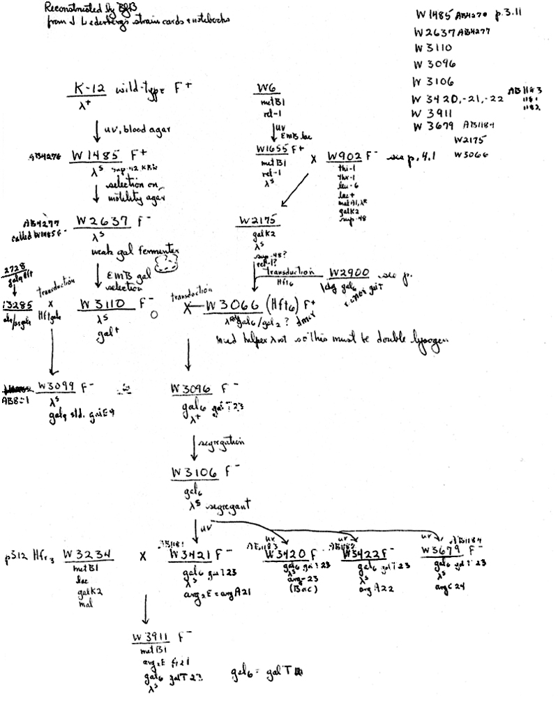 X19 BJBachmann Reconstruction p3.11